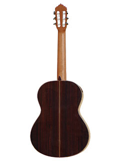 Linea Profesional-back