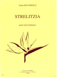 Strelitzia product illustration