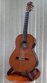 Cadete 7P available at Guitar Notes.