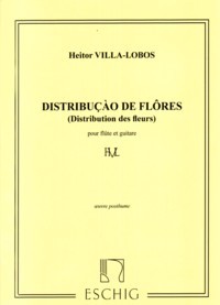 Distribucao de Flores product illustration