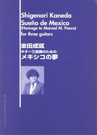 Sueno de Mexico product illustration